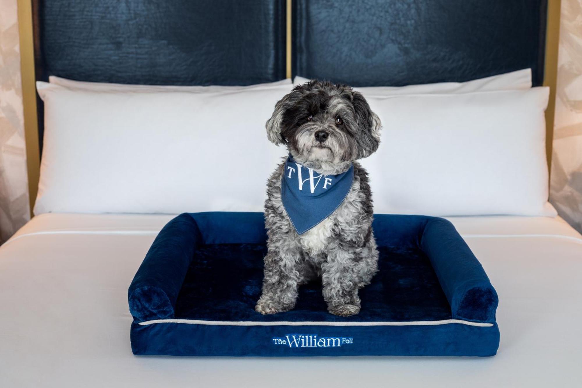 The William Fell Baltimore, Tapestry Collection By Hilton Exterior foto